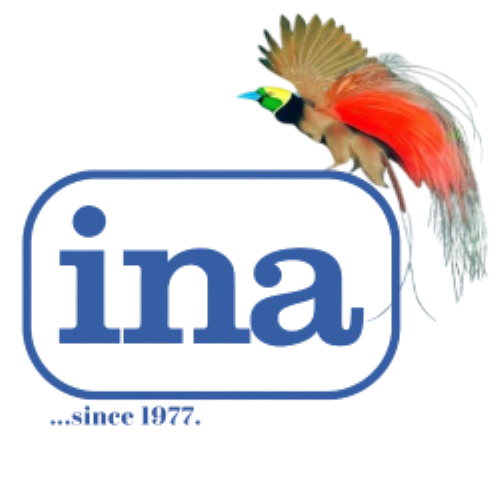 INA Logo